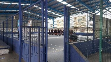 Imagen43